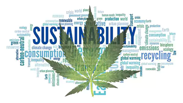Eco-Friendly Cannabis 